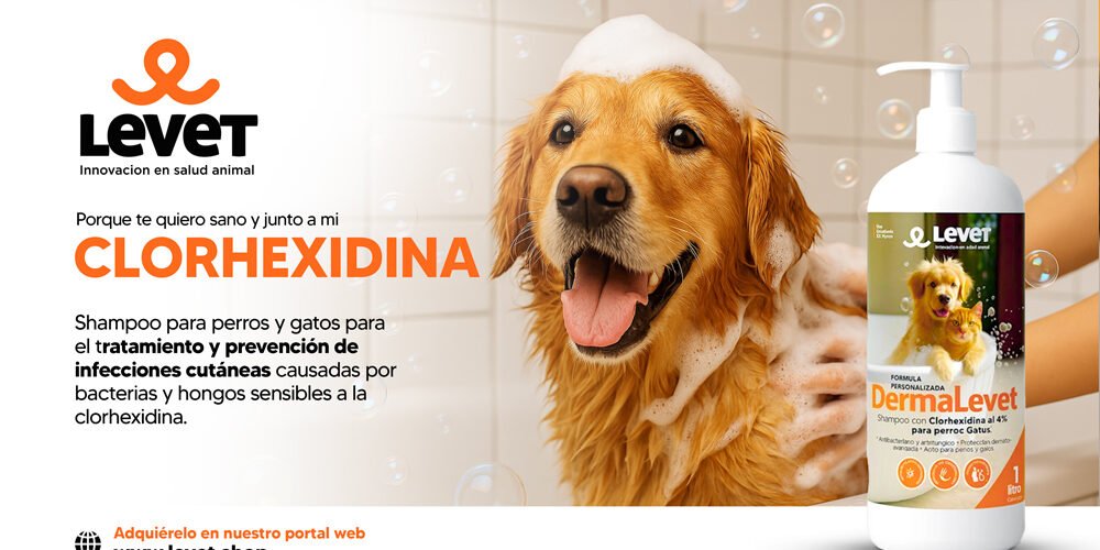 Baña a tu mascota con un shampoo medicado – levet Baña a tu mascota con un shampoo medicado - levet