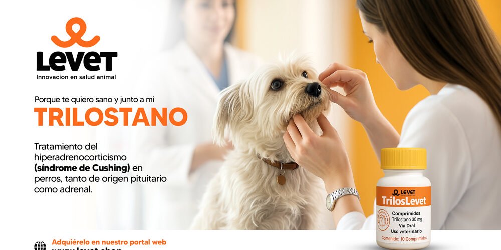 Levet trilostano sindrome de cushing – trilostano medicamento Levet trilostano sindrome de cushing - trilostano medicamento