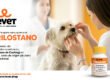 Levet trilostano sindrome de cushing - trilostano medicamento