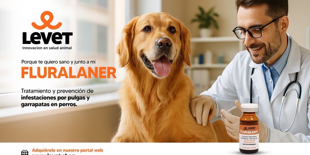 Fluralalner – Tratamiento y prevención de infestaciones por pulgas y garrapatas en perros. Fluralalner - Tratamiento y prevención de infestaciones por pulgas y garrapatas en perros.