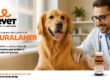 Fluralalner - Tratamiento y prevención de infestaciones por pulgas y garrapatas en perros.